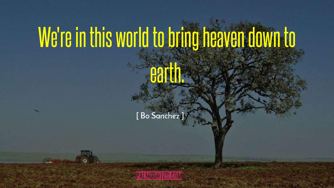 Bo Sanchez Quotes: We're in this world to