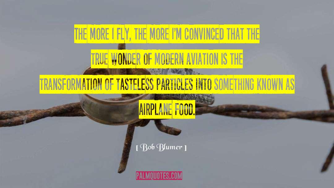 Bob Blumer Quotes: The more I fly, the