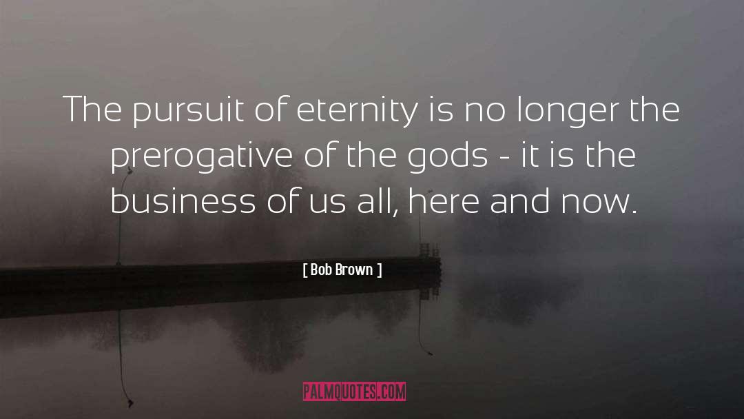Bob Brown Quotes: The pursuit of eternity is