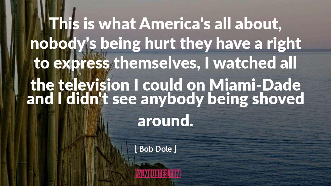 Bob Dole Quotes: This is what America's all