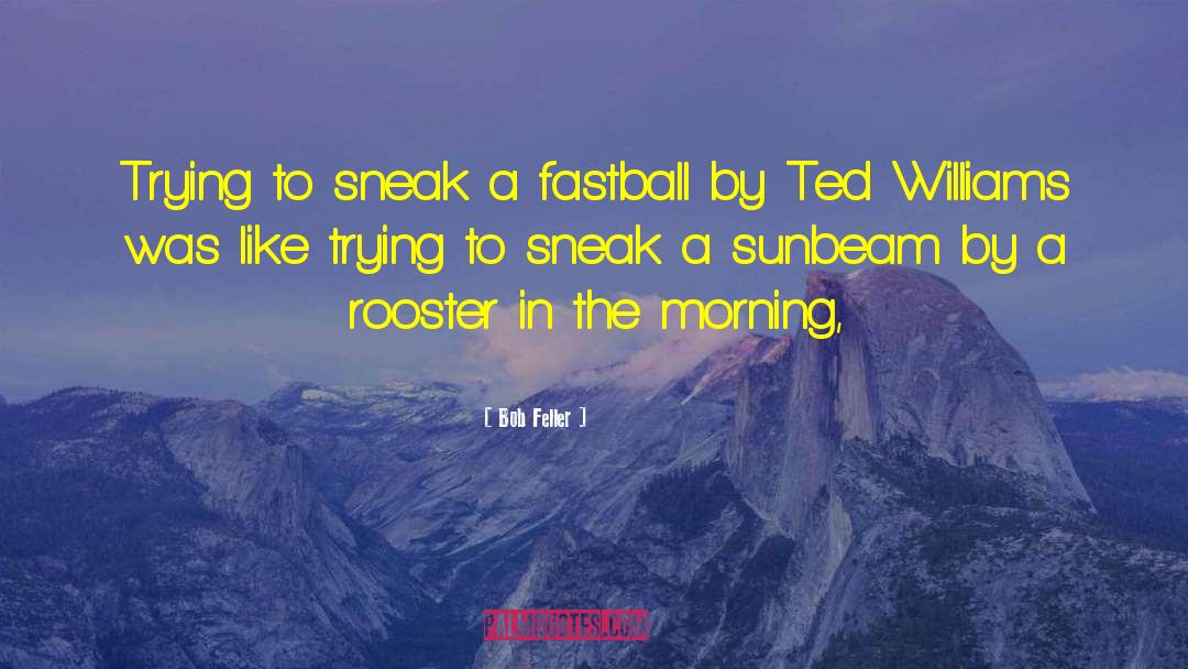 Bob Feller Quotes: Trying to sneak a fastball