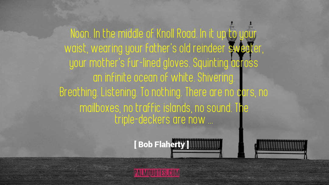 Bob Flaherty Quotes: Noon. In the middle of