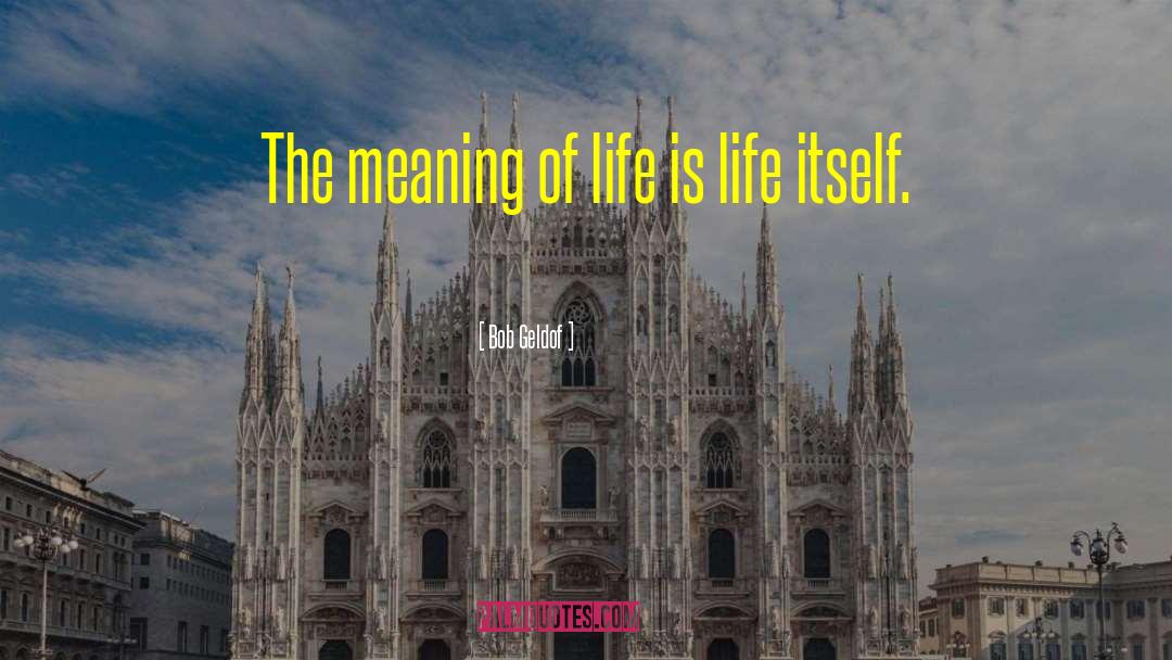 Bob Geldof Quotes: The meaning of life is