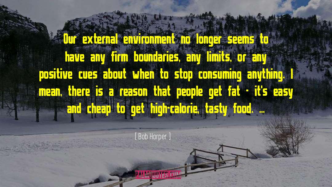 Bob Harper Quotes: Our external environment no longer