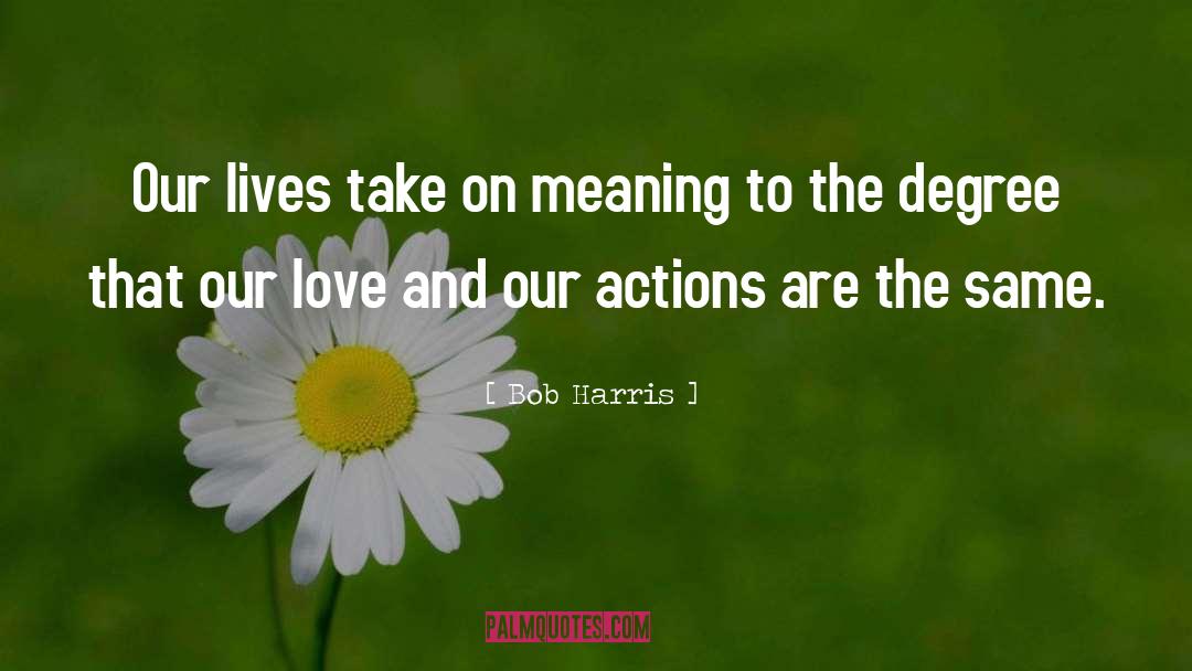 Bob Harris Quotes: Our lives take on meaning