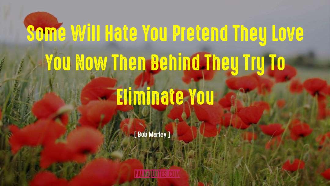 Bob Marley Quotes: Some Will Hate You Pretend