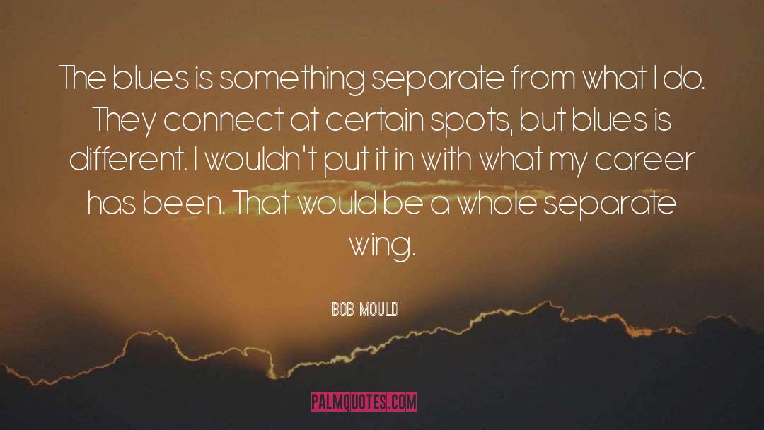 Bob Mould Quotes: The blues is something separate