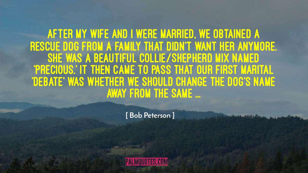 Bob Peterson Quotes: After my wife and I