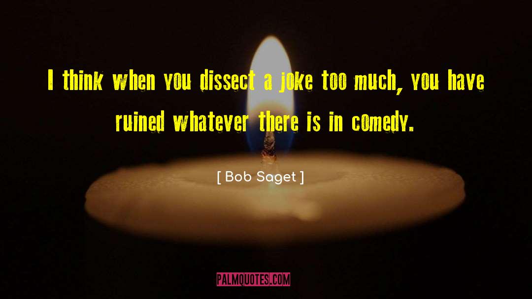 Bob Saget Quotes: I think when you dissect