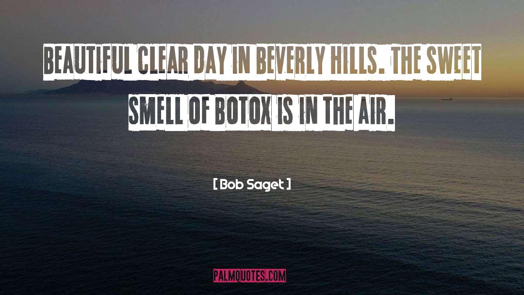 Bob Saget Quotes: Beautiful clear day in Beverly