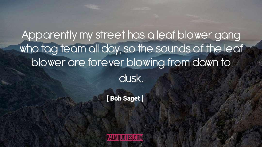 Bob Saget Quotes: Apparently my street has a