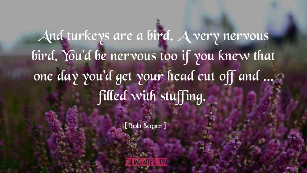 Bob Saget Quotes: And turkeys are a bird.