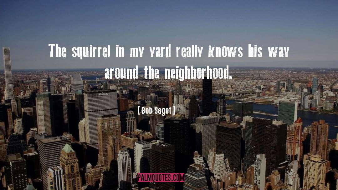 Bob Saget Quotes: The squirrel in my yard