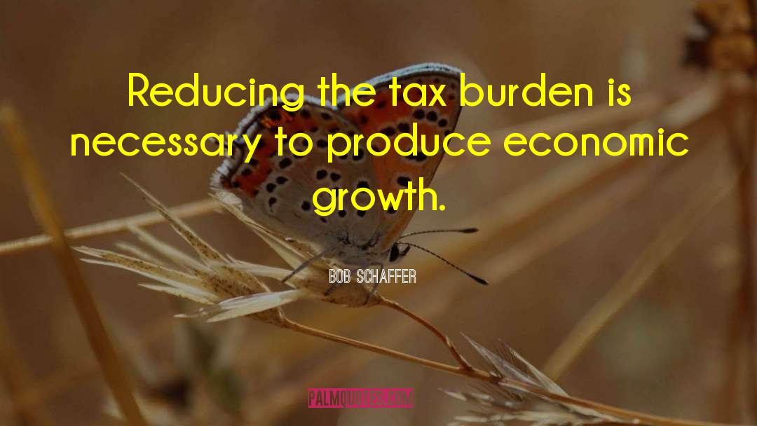 Bob Schaffer Quotes: Reducing the tax burden is