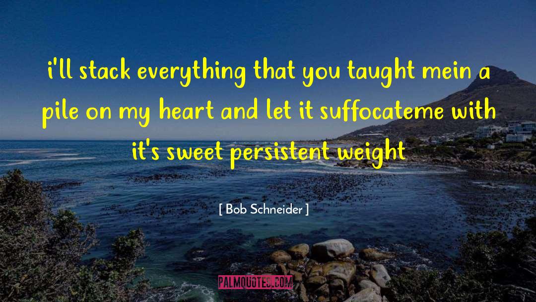 Bob Schneider Quotes: i'll stack everything that you