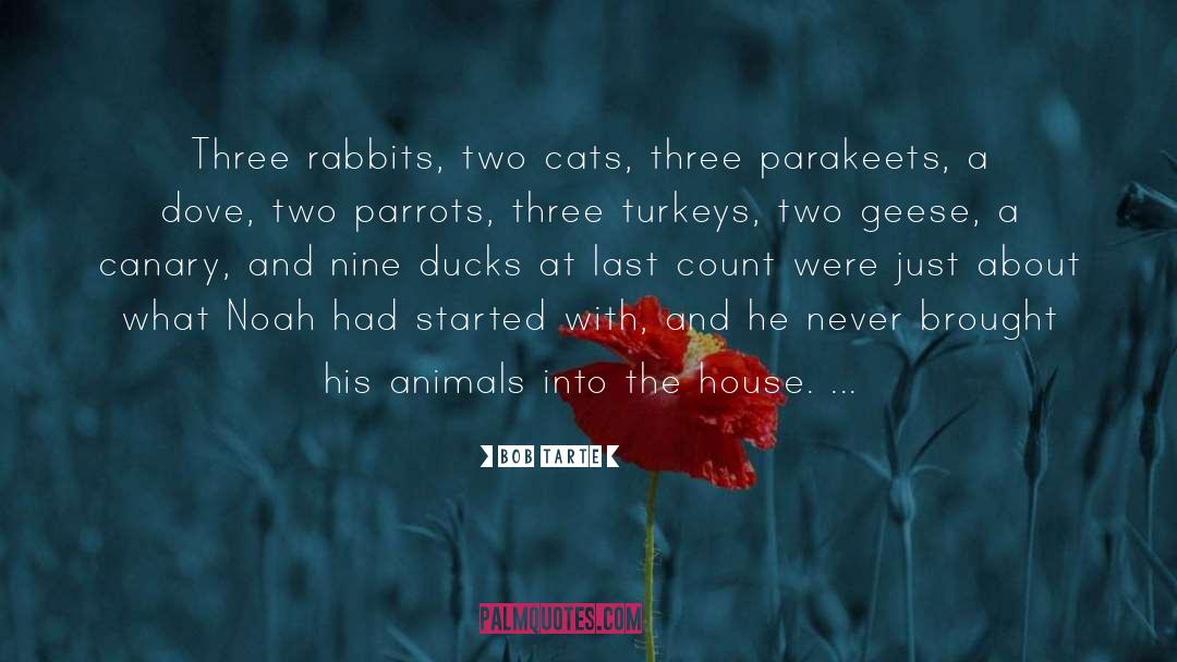 Bob Tarte Quotes: Three rabbits, two cats, three