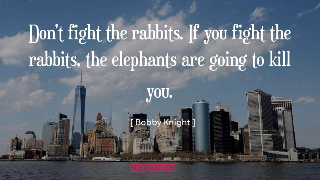 Bobby Knight Quotes: Don't fight the rabbits. If