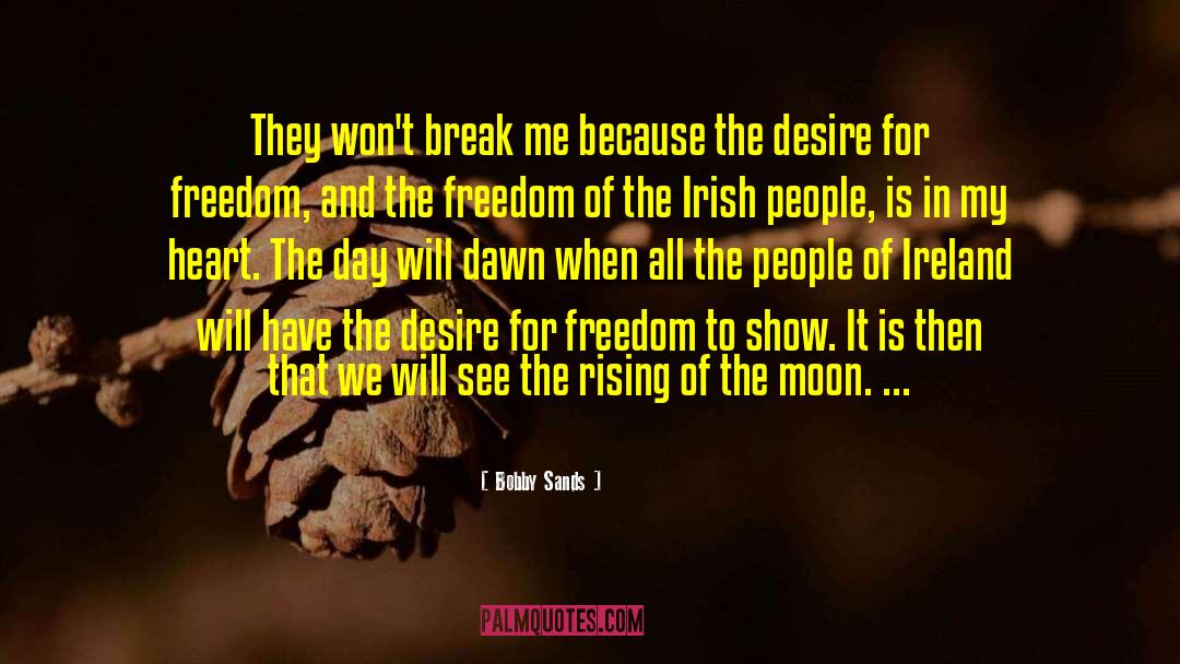 Bobby Sands Quotes: They won't break me because