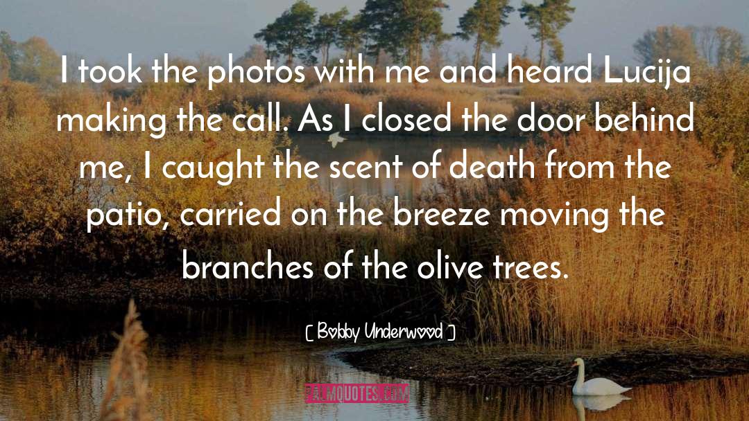 Bobby Underwood Quotes: I took the photos with