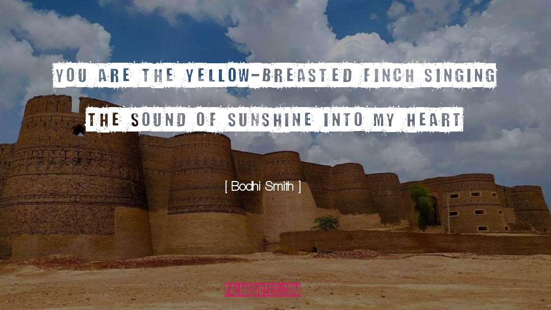 Bodhi Smith Quotes: you are the yellow-breasted finch