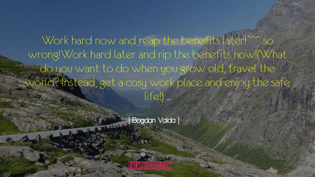 Bogdan Vaida Quotes: Work hard now and reap