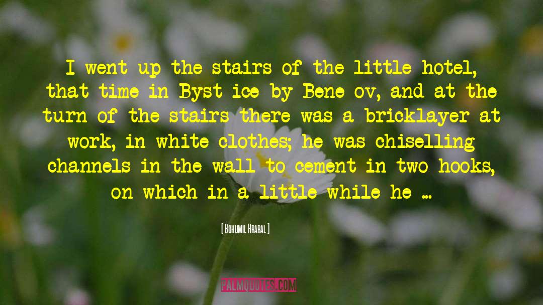 Bohumil Hrabal Quotes: I went up the stairs