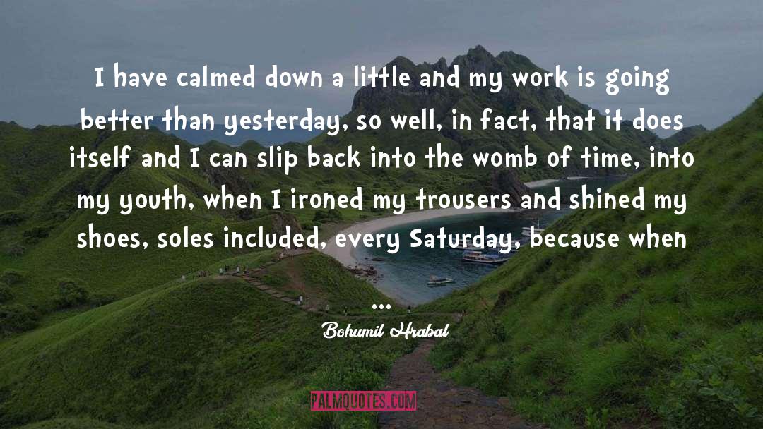 Bohumil Hrabal Quotes: I have calmed down a