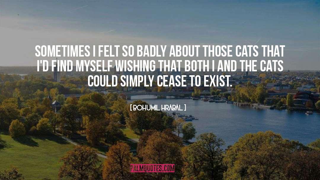Bohumil Hrabal Quotes: Sometimes I felt so badly