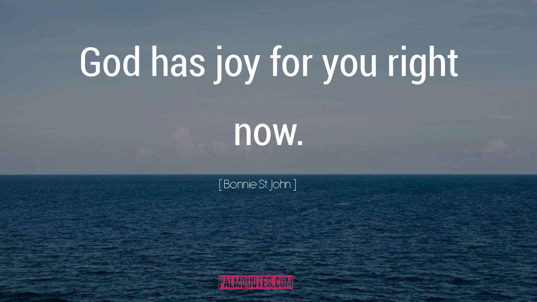 Bonnie St. John Quotes: God has joy for you