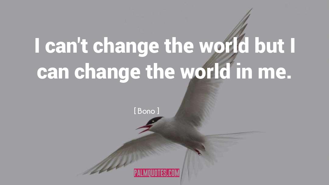 Bono Quotes: I can't change the world