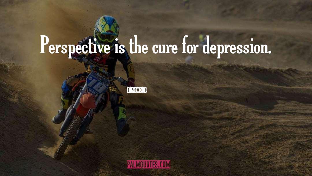 Bono Quotes: Perspective is the cure for