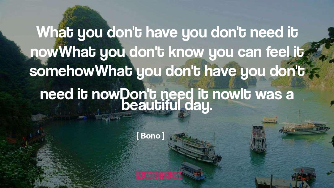 Bono Quotes: What you don't have you