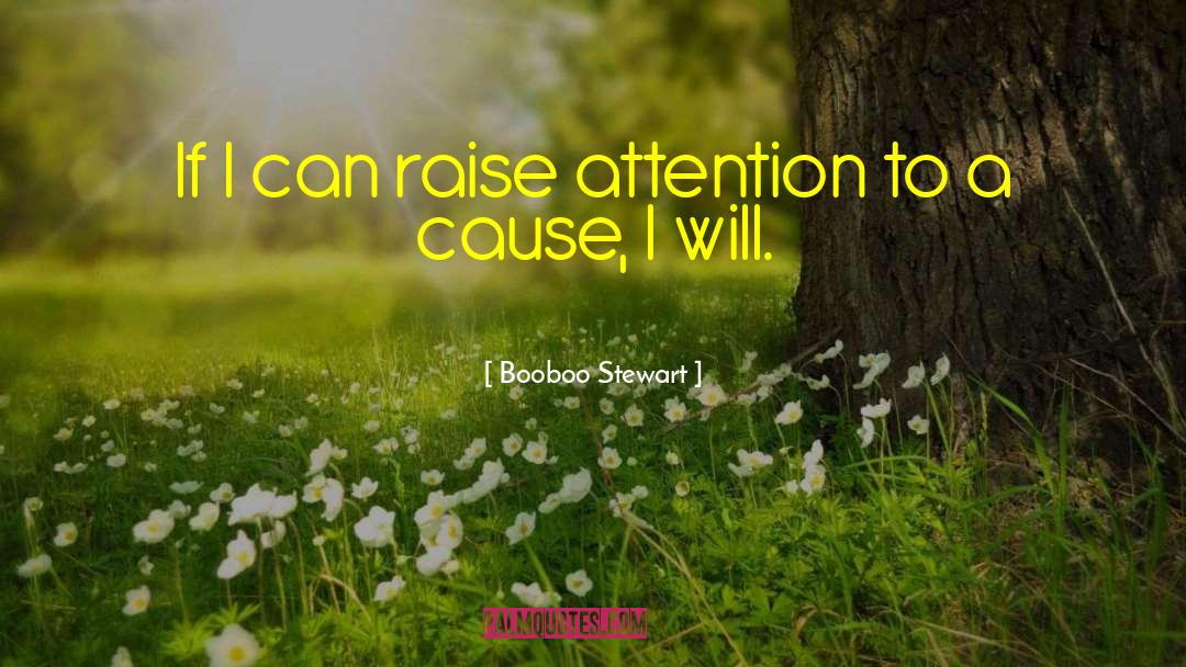 Booboo Stewart Quotes: If I can raise attention