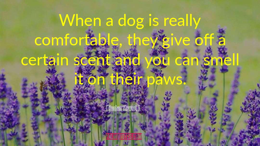 Booboo Stewart Quotes: When a dog is really