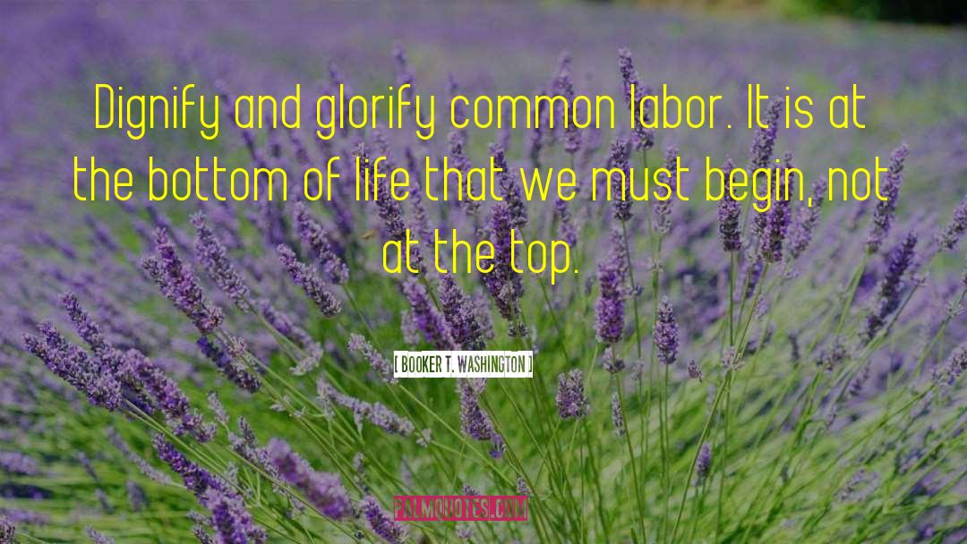 Booker T. Washington Quotes: Dignify and glorify common labor.