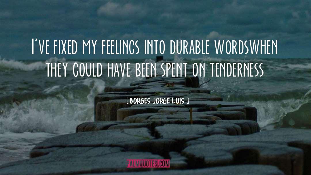BORGES JORGE LUIS Quotes: I've fixed my feelings into