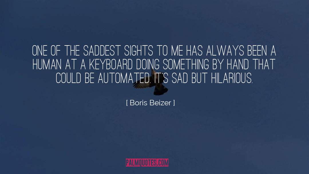 Boris Beizer Quotes: One of the saddest sights