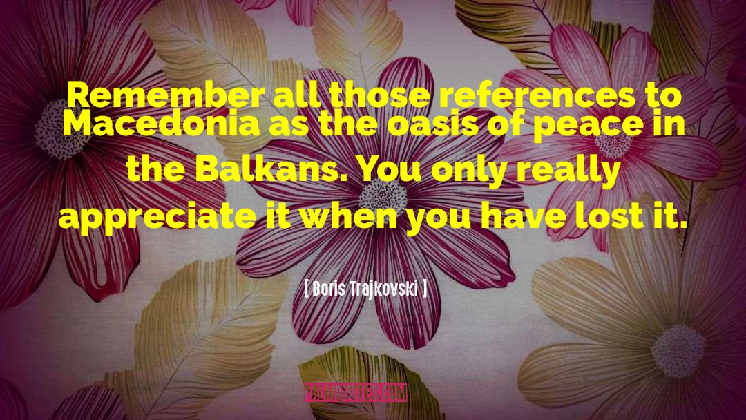 Boris Trajkovski Quotes: Remember all those references to