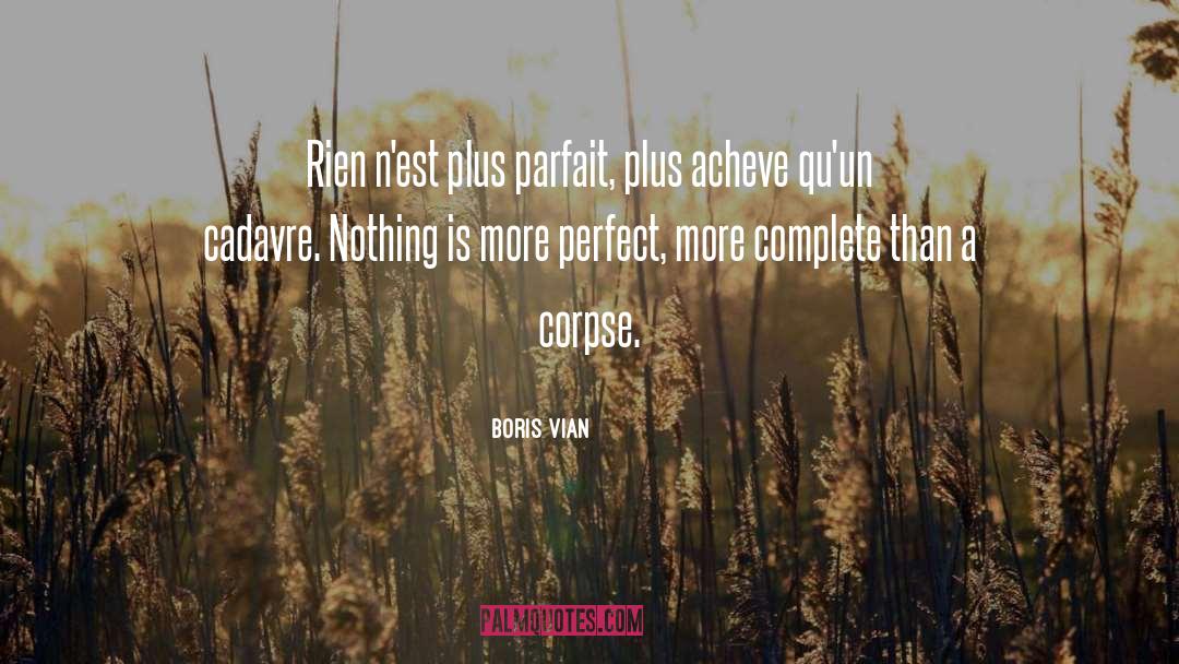 Boris Vian Quotes: Rien n'est plus parfait, plus