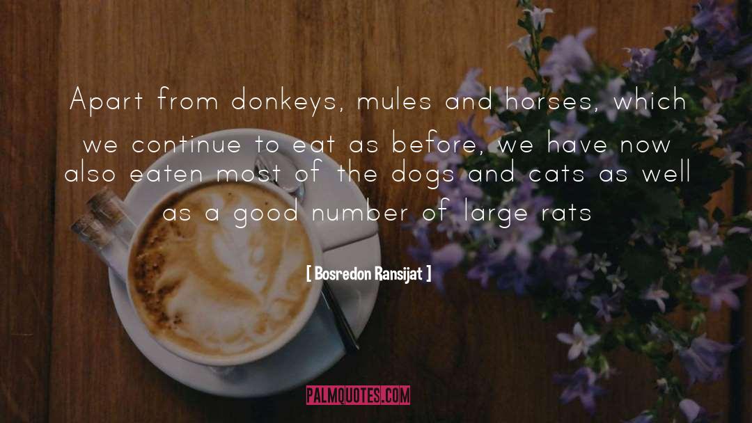 Bosredon Ransijat Quotes: Apart from donkeys, mules and