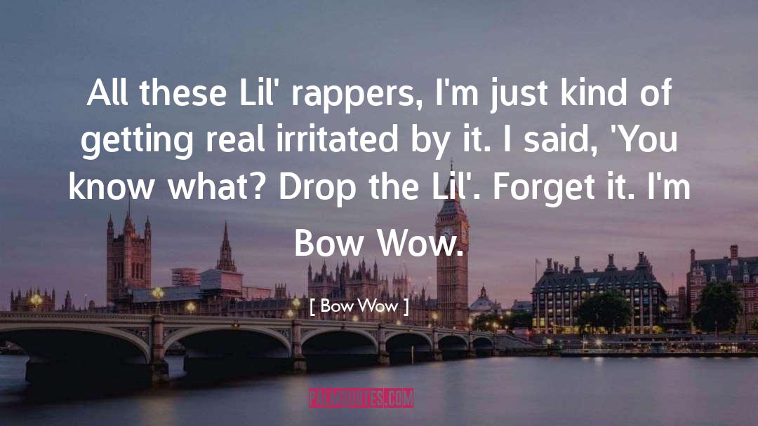 Bow Wow Quotes: All these Lil' rappers, I'm