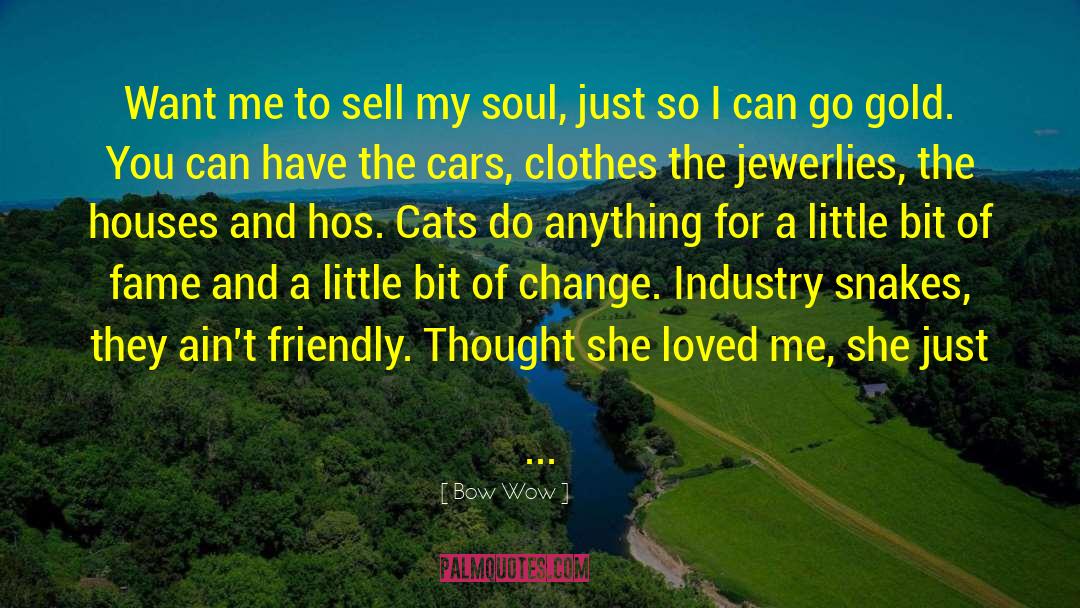 Bow Wow Quotes: Want me to sell my