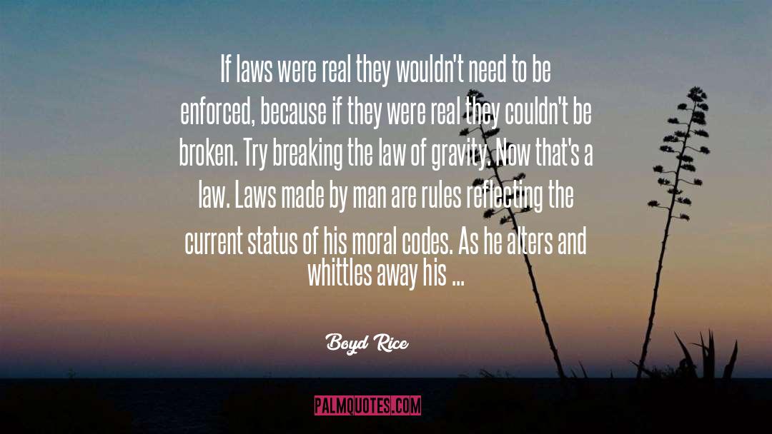 Boyd Rice Quotes: If laws were real they