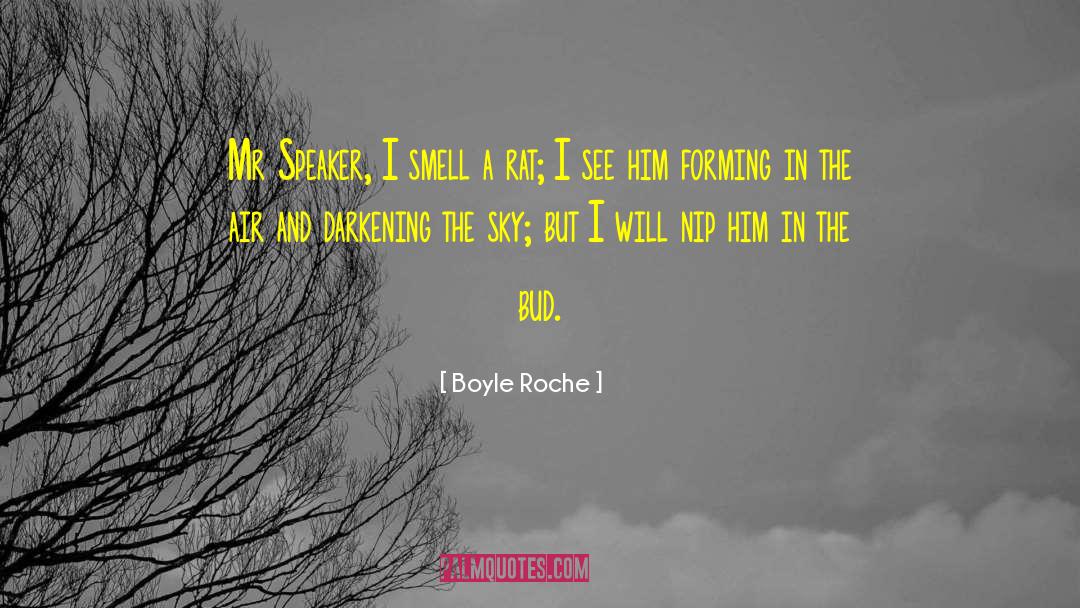 Boyle Roche Quotes: Mr Speaker, I smell a