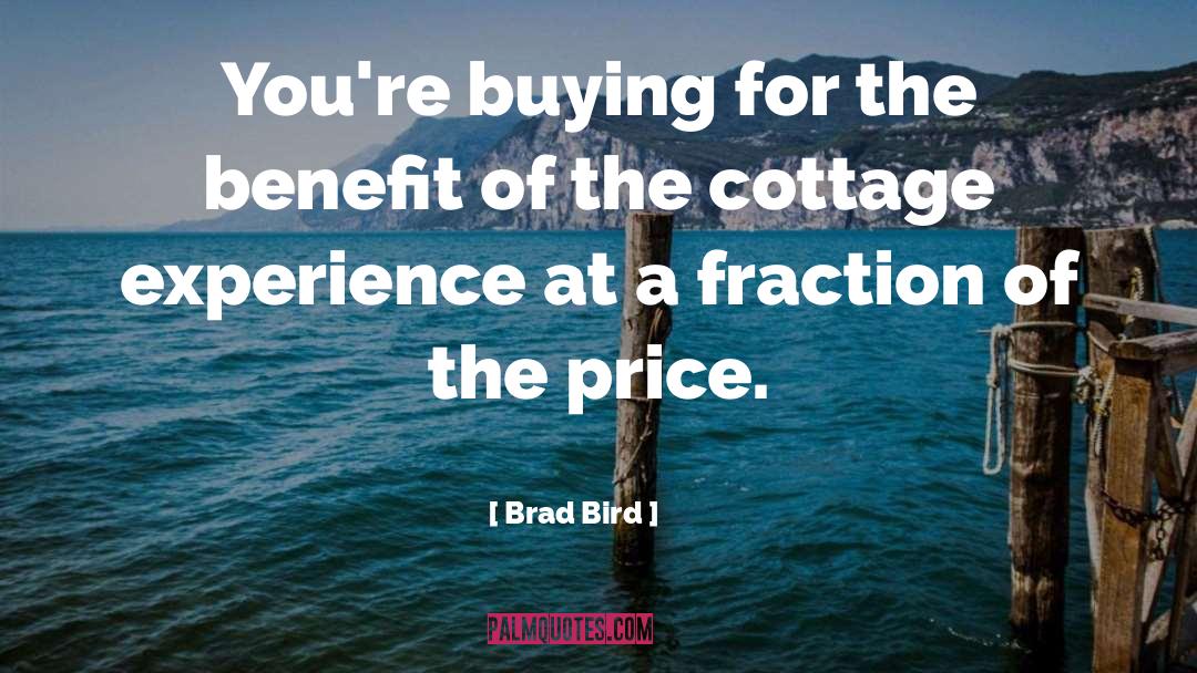 Brad Bird Quotes: You're buying for the benefit