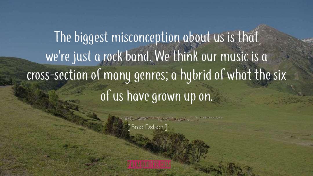 Brad Delson Quotes: The biggest misconception about us