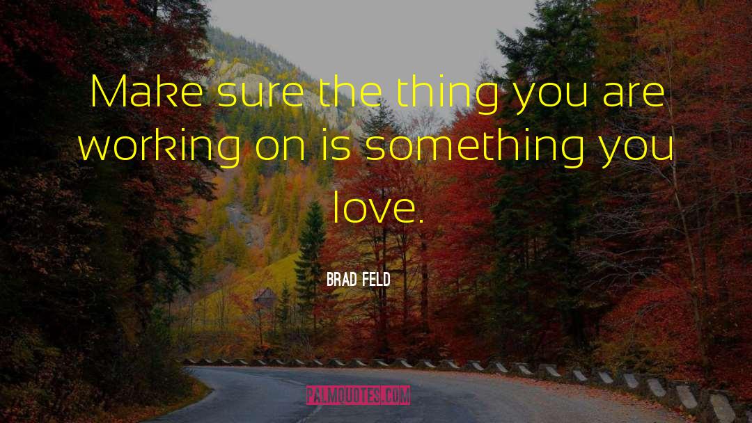 Brad Feld Quotes: Make sure the thing you