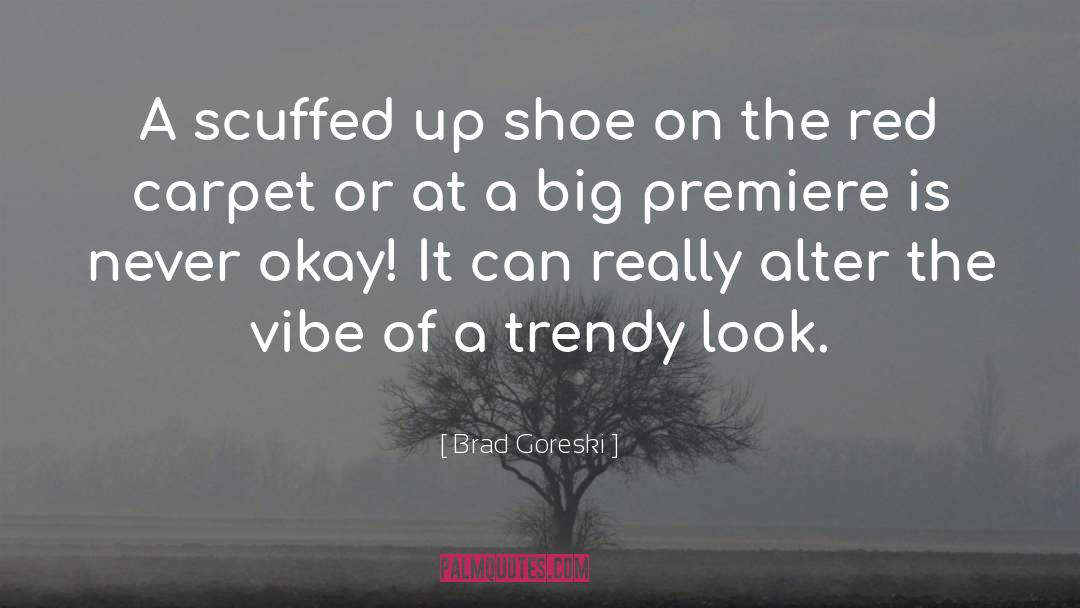 Brad Goreski Quotes: A scuffed up shoe on