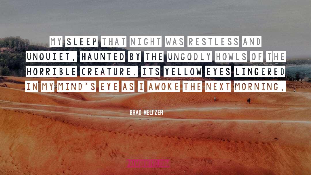 Brad Meltzer Quotes: My sleep that night was