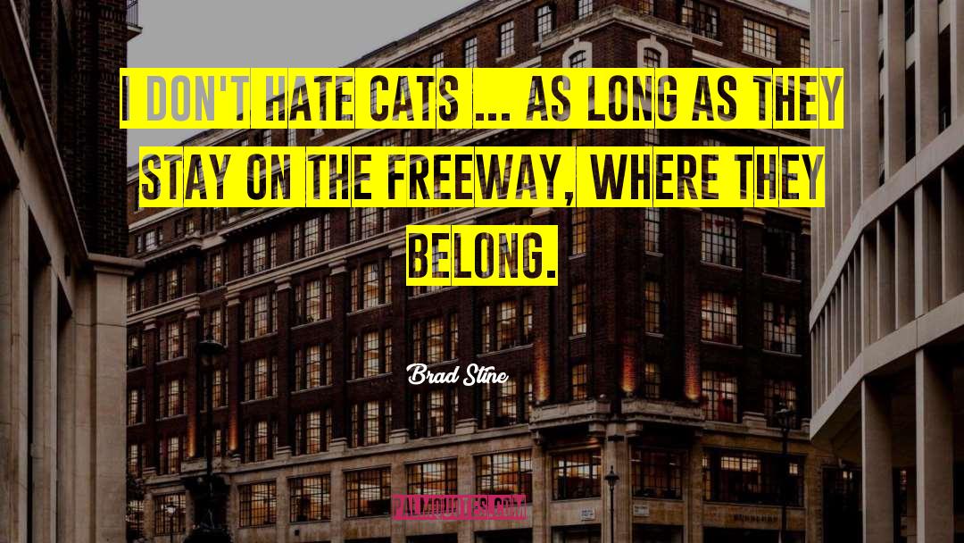 Brad Stine Quotes: I don't hate cats ...